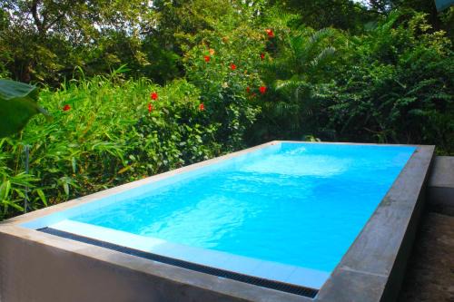 Sigiriya Hotel | Guest Rated Sunrise Cottage: Poolside Bliss Awaits You