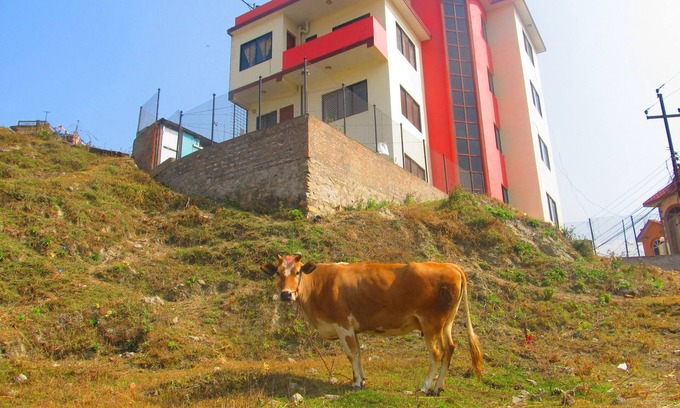 Kathmandu House | Experience Sunrise Homestay Nepal: Family-Friendly Retreat