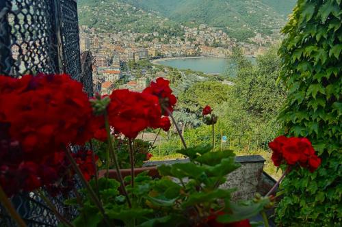 Rapallo Villa | Sunrise Hotel: 4-Star Comfort with Family-Friendly Dining