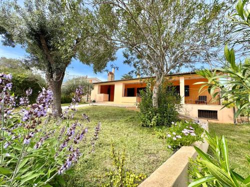 Torre di Bari Apartment | Sunrise Terrace