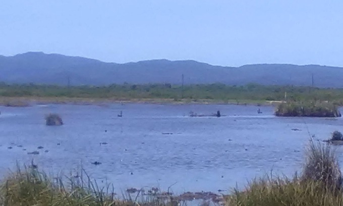 Hopkins House | Relaxing Retreat for Sunset & Bird Watching Enthusiasts