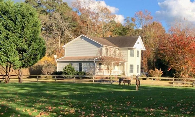 Chincoteague House | Sunset in Sunnywood: A peaceful retreat with a PRIVATE POOL!
