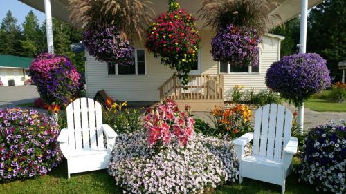 St Ignace Hotel | Relax at Sunset Motel of St. Ignace - 4 Star Comfort Awaits