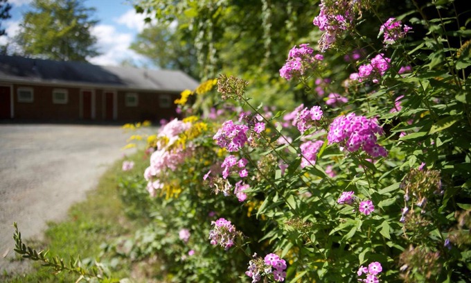 West Lebanon Hotel | Affordable Sunset Motor Inn with Family-Friendly Amenities