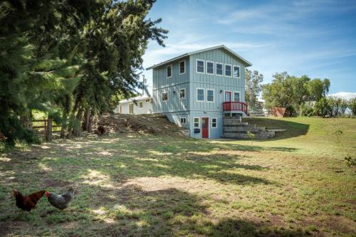 Kamuela Apartment | Sunset Orchard- Sunny Side of Waimea, Close to Beaches!