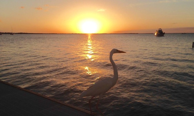 Key Largo Condo | Experience Sunset Serenity at Moon Bay: Waterfront Bliss