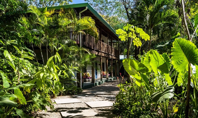 Playa Guiones Hotel | Relax at Sunset Shack Hotel: Top-Rated with Pool & Spa