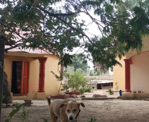 West Coast Division House | Budget-Friendly Sunshine Guesthouse Bafuloto - Pet & Child Friendly