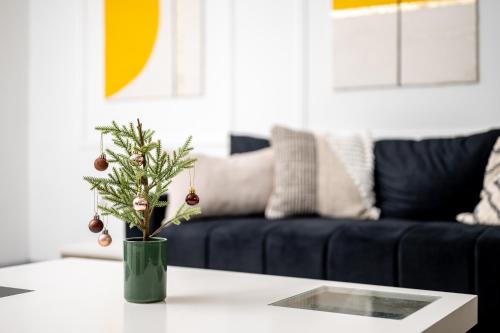 Subotica Apartment | Bright Sunshine: 10/10 Rated with Family-Friendly Amenities