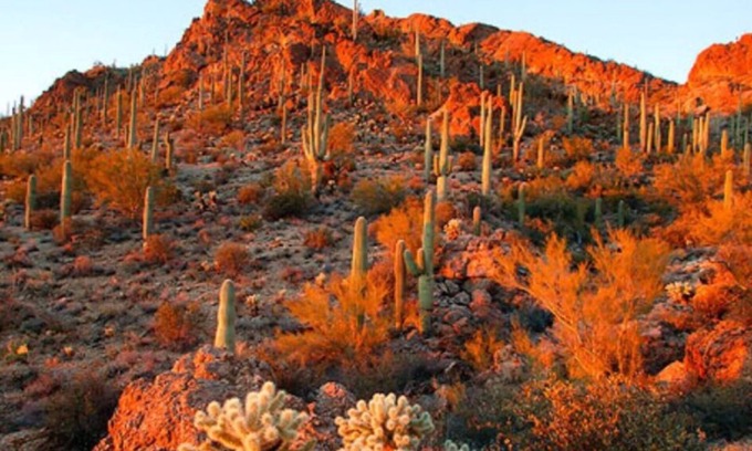 Tempe House | Experience Sunswept Skies: Golf, Firepit & Family Fun
