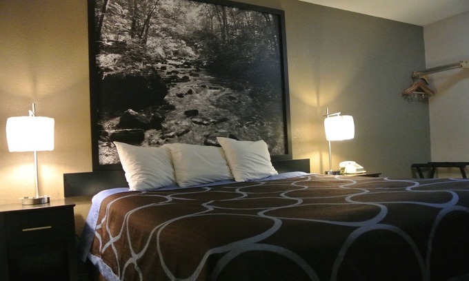 Cortez Hotel | Eco-Friendly Getaway at Super 8 by Wyndham Cortez