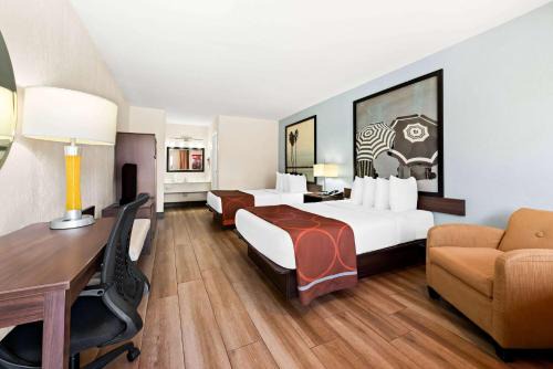 Florida City Hotel | Comfortable Stay at Super 8 by Wyndham Florida City