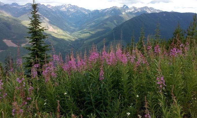 Fauquier Cottage | Super Natural Hot Springs & Snowy Country Xmas @ Kootenay Cottage Lavender Farm.