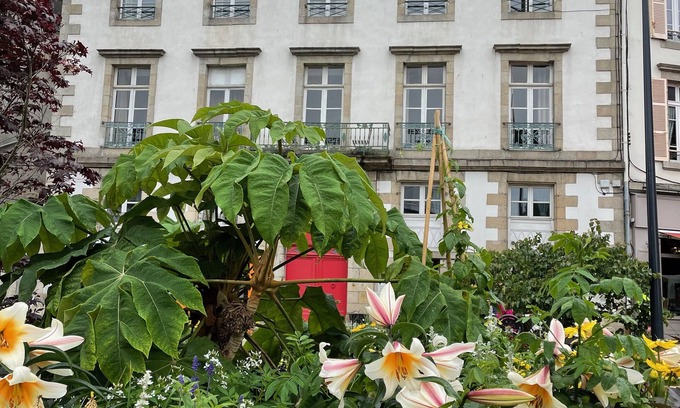 Morlaix House | Scenic Morlaix Harbour View Apartment - Perfect for Families