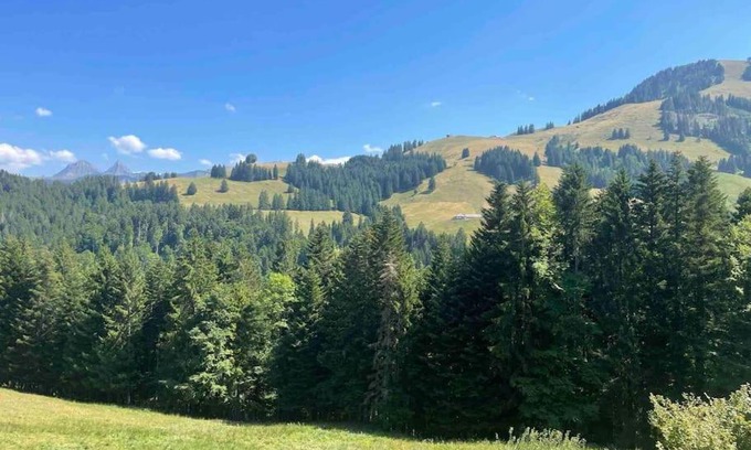 Moleson Apartment | Cozy 3.5 Apartment with Fireplace - Pet & Child Friendly