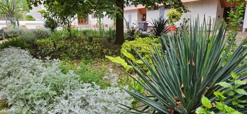Argenteuil Apartment | Discover a Beautiful Apartment near Argenteuil Gare