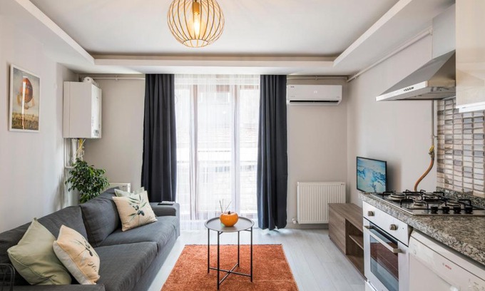 Tophane Apartment | Pet-Friendly One Bedroom Apartment Near Galataport 4-Star