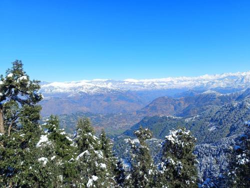 Dalhousie Hotel | Family-Friendly Surya Resort Dalhousie with Restaurant & More