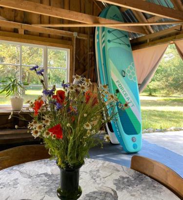 Haademeeste Other | Pet-Friendly Suurkivi Nature Escape with Kitchen Amenities