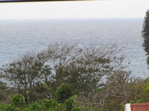 Port Edward House | Discover Suzy's Place: Pet Friendly with Oceanfront Views