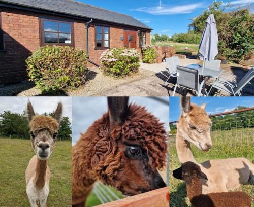 Llanvair Kilgeddin House | Family-Friendly Escape at Swallows Nest - Guest Rated 8.8