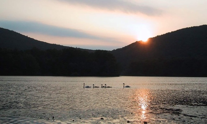 Pine Plains Cabin | Experience Nature: Swim, Hike & Kayak in a Rustic Cabin