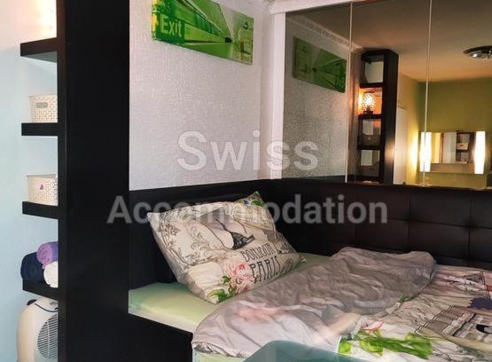 Langstrasse House | Pet-Friendly Swiss Accommodation for Your Ideal Getaway