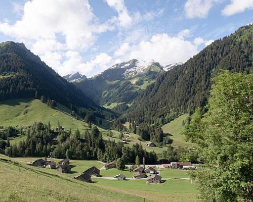 Chateau-d'Oex Ski Chalet | Switzerland Chalet 1