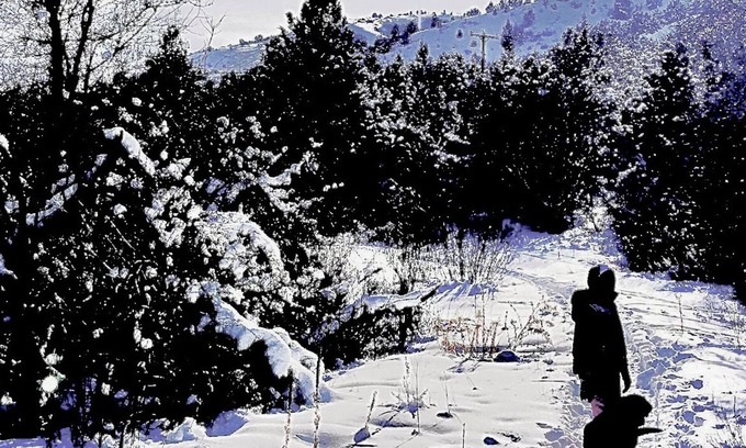 Pocatello House | Experience Syncrodestiny2: Mountain Retreat with Private Pool