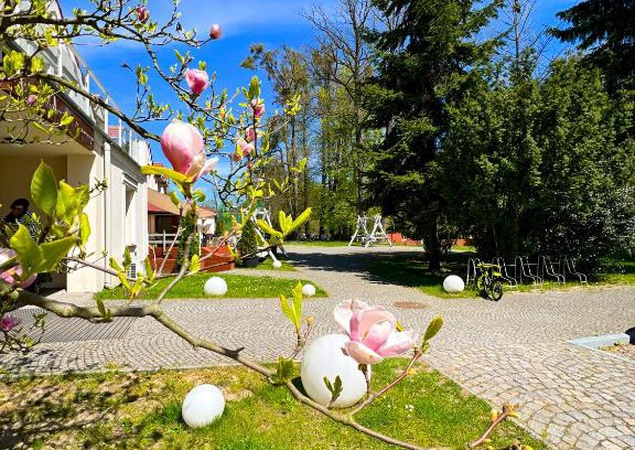 Brzezinka Hotel | Relax at Pod Platanem Gliwice with Oceanfront Spa Retreat