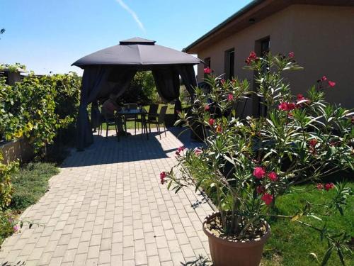 Balatonszemes Apartment | Pet-Friendly Szederszem Apartman with Top Guest Ratings