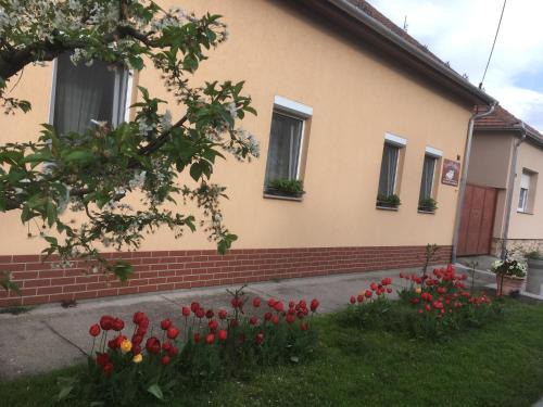 Morahalom Apartment | Kid-Friendly Szundivendégház with a 9/10 Guest Rating