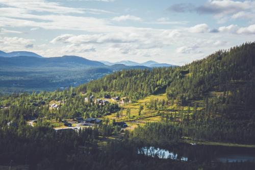 Tannas Cabin | Discover Tännäskröket: Pet-Friendly Family Retreat