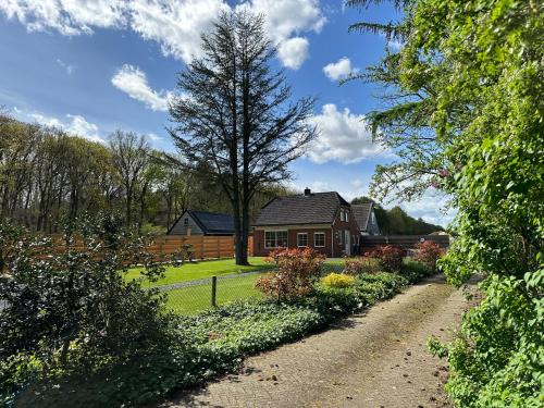 Odoorn House | Experience Family-Friendly Comfort at ‘t Bosrandje