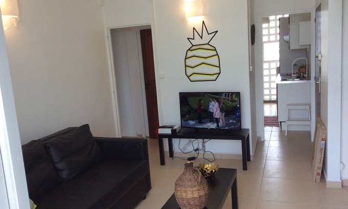 Pointe-a-Pitre Apartment | Cozy T4 Pineapple WIFI with Breakfast in Pointe à Pitre