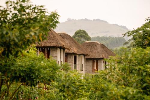 Fort Portal Resort | Discover Tabebuia Spa and Safari Resort: Oceanfront Bliss