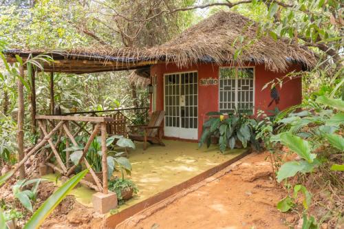 Freetown Hotel | Tacugama Chimpanzee Sanctuary