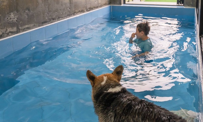 Chogaesan House | Taean Aloha Oe Pet Pool Villa