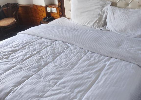 Theog Apartment | Pet Friendly Taj Valley View - Guest Rated 10/10