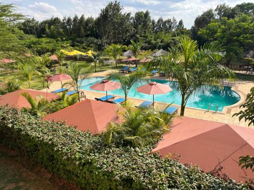 Tala Hotel | Explore Tala Ridge Country Resort: 5-Star Pet-Friendly Escape