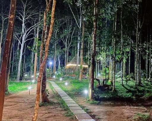 Kidanganad Villa | Discover Tall Trees: Modern Villa in Wayanad with Breakfast