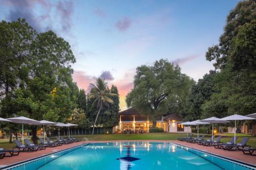 Seeduwa - Katunayake Resort | Relaxing Tamarind Tree Garden Resort Near Katunayake Airport