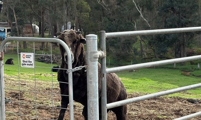 Nannup Ski Chalet | Discover Tanjanerup Chalets: Unique Farm Stay Experience
