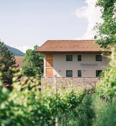 Albions House | Modern TANOVINUM APARTMENTS Near Klausen with Pool Access