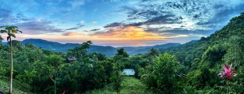 Santa Marta Cabin | Discover Taorayiná Nature Lodge: Embrace Forest Serenity