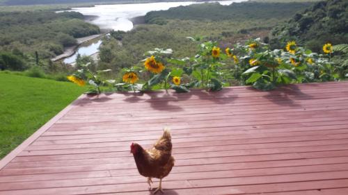 Waikare House | Discover Taranaki: Pet-Friendly Retreat with Top Reviews