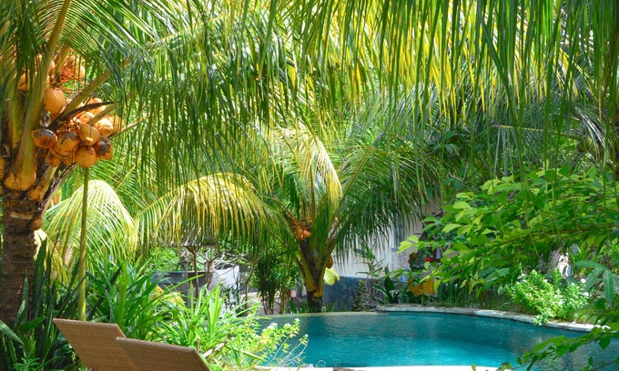 Penida Island Hotel | Discover Tarzan Marriott on Penida: Family-Friendly Retreat