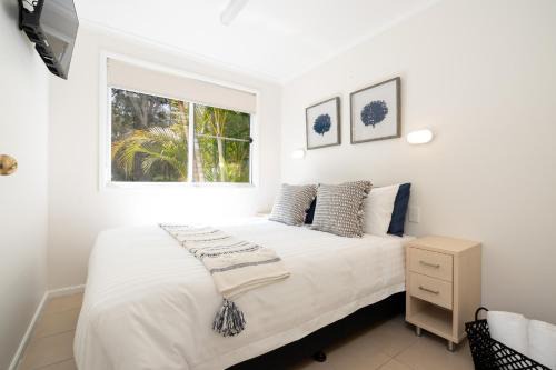 Myola Resort | Family-Friendly Tasman Holiday Parks - Myola with Pool Access