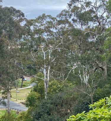 Tathra Apartment | Tathra Views