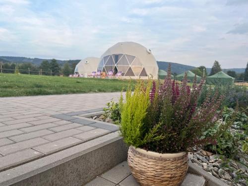 Okrzeszyn Other | Experience Tatra Glamp Okrzeszyn: Pet-Friendly Retreat